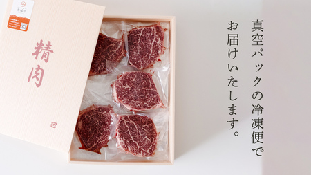 《 定期便 》 上州牛 ヒレステーキ 100g × 5枚 3ヶ月 連続お届け [AH020tu]