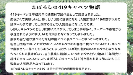 【 2025年 7月中旬 発送開始 】 まぼろしの419キャベツ 4玉 きゃべつ 嬬恋村産キャベツ 羽生田売店 幻のキャベツ419 産地直送 期間限定 先行予約 人気 朝採り 通販 お取り寄せ 関東 群馬 出荷時期限定 先行受付 ZIP! [AL006tu]