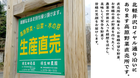 【 2025年 7月中旬 発送開始 】 まぼろしの419キャベツ 4玉 きゃべつ 嬬恋村産キャベツ 羽生田売店 幻のキャベツ419 産地直送 期間限定 先行予約 人気 朝採り 通販 お取り寄せ 関東 群馬 出荷時期限定 先行受付 ZIP! [AL006tu]