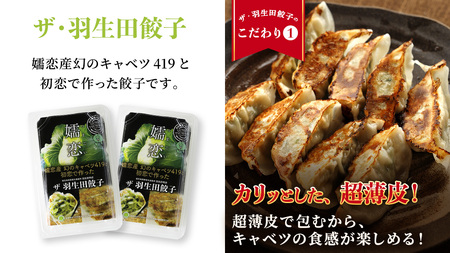 まぼろしのキャベツ419使用 ザ・羽生田餃子 15個 × 7パック 合計105個 [AL002tu]
