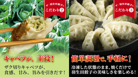 まぼろしのキャベツ419使用 ザ・羽生田餃子 15個 × 7パック 合計105個 [AL002tu]