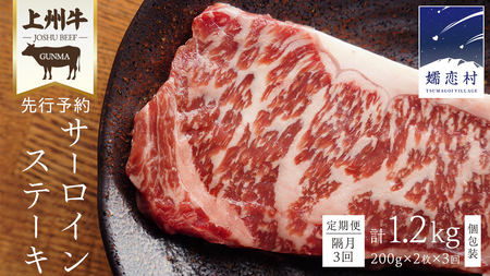 【定期便隔月 3回】上州牛 サーロイン ステーキ 200g × 2枚 （ 1枚 × 2パック ） [AH028tu]