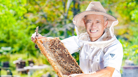 愛妻 はちみつ ( アカシア ) ・愛妻 はちみつ プリン [AC014tu]