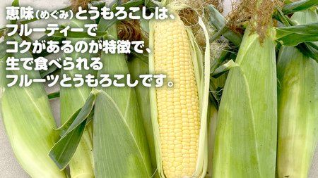 嬬恋産 めぐみ コーンスープ 150g × 5袋 とうもろこし コーンスープ スープ めぐみとうもろこし レンチン レンジ 嬬恋村 レトルト [AE007tu]