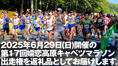 第17回 嬬恋高原キャベツマラソン 10km 出走権 1名分 2025年6月29日開催  マラソン出走権 マラソン 2025 マラソン大会 10kmマラソン 関東 群馬 RUNNET [BK002tu]