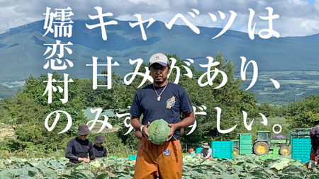 【7月中旬発送開始】 嬬恋キャベツ 嬬恋産 高原キャベツ3玉1ケース Lサイズ 先行予約 2026年発送 [AS010tu]