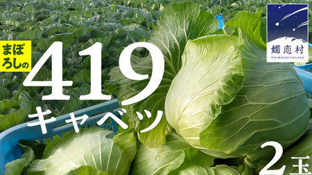 まぼろしの419キャベツ 2玉 きゃべつ 嬬恋村産キャベツ 羽生田売店 幻のキャベツ419 産地直送 期間限定 人気 朝採り 通販 お取り寄せ 関東 群馬 出荷時期限定 [AL014tu] 