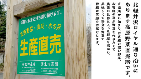 まぼろしの419キャベツ 2玉 きゃべつ 嬬恋村産キャベツ 羽生田売店 幻のキャベツ419 産地直送 期間限定 人気 朝採り 通販 お取り寄せ 関東 群馬 出荷時期限定 [AL014tu] 