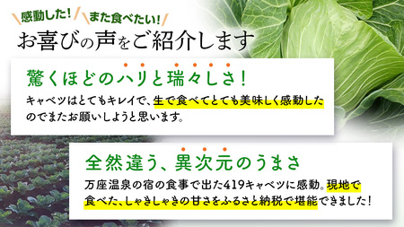 【7月中旬発送開始】訳あり 《 3か月 定期便 》まぼろしの419キャベツ 2玉 3カ月 先行予約 [AL015tu]