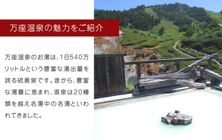 温泉の素 【 万座 の湯】  1回分 × 3袋 温泉 入浴剤 個包装 お試し [AB092tu]