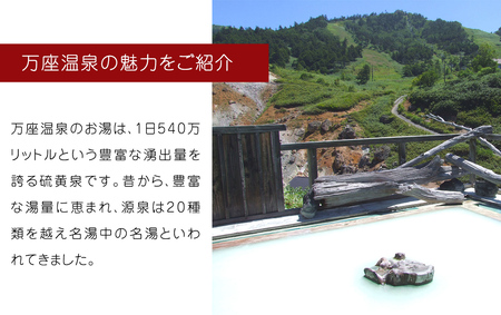 温泉の素 【 万座 の湯】 大袋 ( 10回分 ) 2袋 [AB091tu]