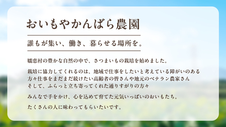 【 10月下旬発送開始 】嬬恋産 熟成 さつまいも 紅はるか 4kg [BR001tu]