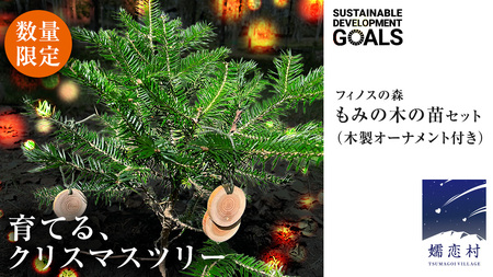 【 12月 発送開始 】クリスマス に最適! フィノスの森 もみの木の苗 セット かわいい カラマツの枝の オーナメント 付き [BI005tu]