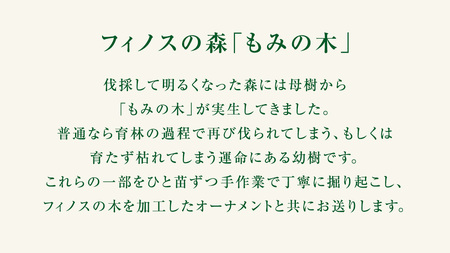 【 12月 発送開始 】クリスマス に最適! フィノスの森 もみの木の苗 セット かわいい カラマツの枝の オーナメント 付き [BI005tu]