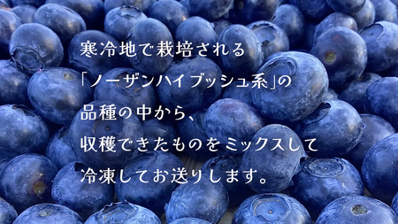 【 最短 7日以内 発送 】 冷凍 ブルーベリー 小玉 500g	【 化学肥料 農薬 使わずに栽培 】 数量限定 小粒 国産 フルーツ スムージー 果物 くだもの 農家直送 スイーツ アイス ノーザンハイブッシュ系 ミックス [AT014tu]