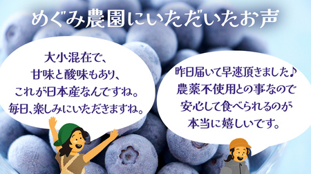 【 最短 7日以内 発送 】 冷凍 ブルーベリー 小玉 500g	【 化学肥料 農薬 使わずに栽培 】 数量限定 小粒 国産 フルーツ スムージー 果物 くだもの 農家直送 スイーツ アイス ノーザンハイブッシュ系 ミックス [AT014tu]