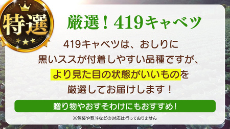 ＜7月中旬発送開始＞ 【 特選 】 まぼろしの419キャベツ 4玉 [AL021tu]
