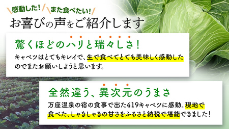 ＜7月中旬発送開始＞ 【 特選 】 まぼろしの419キャベツ 4玉 [AL021tu]
