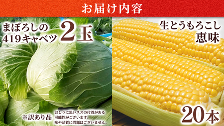 ＜ 8月上旬 発送開始 ＞ 朝採り野菜 人気2種セット まぼろしの419キャベツ 2玉 と 甘～いトウモロコシ 恵味 20本