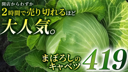 ＜ 8月上旬 発送開始 ＞ 朝採り野菜 人気2種セット まぼろしの419キャベツ 2玉 と 甘～いトウモロコシ 恵味 20本