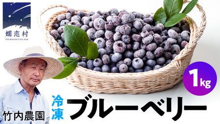 【数量限定】 冷凍ブルーベリー1kg 国産 群馬県 フルーツ 果物 北軽井沢ブルーベリー園 お取り寄せ 産地直送 ジャム スムージー ヨーグルト [AD002tu]