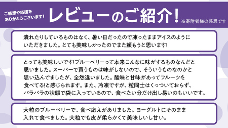 【数量限定】 冷凍ブルーベリー1kg 国産 群馬県 フルーツ 果物 北軽井沢ブルーベリー園 お取り寄せ 産地直送 ジャム スムージー ヨーグルト [AD002tu]