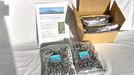 【数量限定】 冷凍ブルーベリー2kg 国産 群馬県 フルーツ 果物 北軽井沢ブルーベリー園 1kg × 2袋 お取り寄せ 産地直送 ジャム スムージー ヨーグルト [AD003tu]