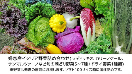 【8月上旬以降発送開始】 嬬恋産 季節の 西洋野菜 詰め合わせ 先行予約 2025年発送 産地直送 野菜 野菜セット 旬の野菜  [AG001tu]