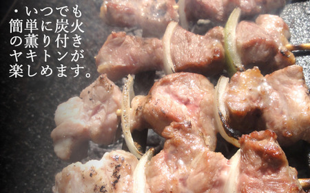6ヵ月 定期便 室蘭やきとり しお焼き 30本 焼き鳥 MROA020