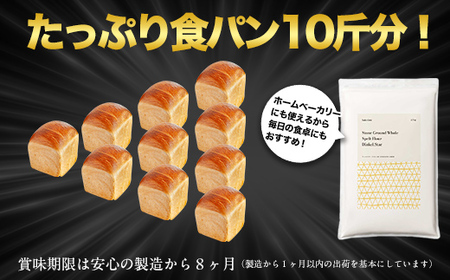 北海道産 スペルト小麦全粒粉 ディンケルスター  2.5kg 【 ふるさと納税 人気 おすすめ ランキング 小麦 小麦粉 粉 ディンケル小麦 スペルト小麦 穀物 石臼全粒粉 国産 北海道産 こむぎ こむぎこ ギフト 贈答 プレゼント 贈り物 北海道 室蘭市 送料無料 】 MROBI001