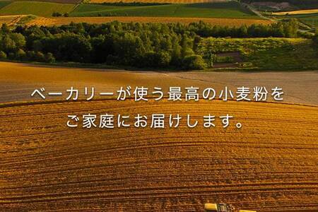 北海道産 「春よ恋」「ゆめちから」ブレンド小麦粉 パウダースノー（パン用強力粉）10kg MROBI012