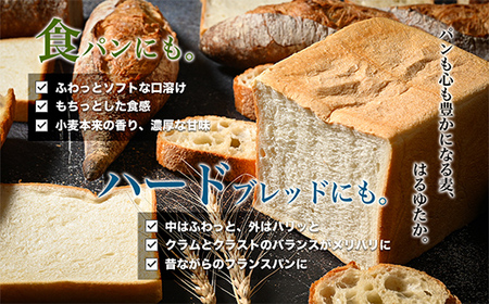 【毎月定期便】北海道産 はるゆたかブレンド小麦粉 シルバーライズ（パン用強力粉）5kg 全2回 MROBI027