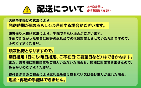 北海道室蘭産 塩水キタムラサキウニ （100g×1パック）【翌年（2026）/7～9月中旬頃順次発送】 MROBQ001