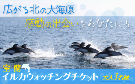 室蘭 イルカウォッチングチケット 大人1名様 【 ふるさと納税 人気 おすすめ ランキング 北海道 室蘭 大人 1名 イルカ ウォッチング クジラ チケット 観光 プライベート イベント 休日 北海道 室蘭市 送料無料 】 MROX003
