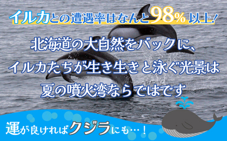 室蘭 イルカウォッチングチケット 大人2名様 【 ふるさと納税 人気 おすすめ ランキング 北海道 室蘭 大人 2名 イルカ ウォッチング クジラ チケット 観光 プライベート イベント 休日 北海道 室蘭市 送料無料 】 MROX004