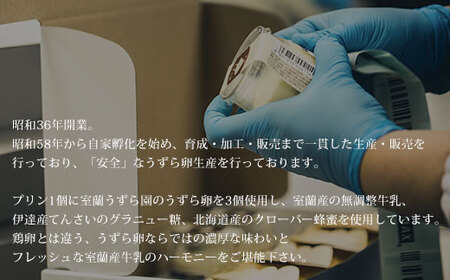 室蘭うずらのプリン6個 【 ふるさと納税 人気 おすすめ ランキング 北海道 室蘭 うずらん たまご 卵 プリン スイーツ 濃厚 洋菓子 和菓子 セット 大容量 詰合せ 北海道 室蘭市 送料無料 】 MROF003