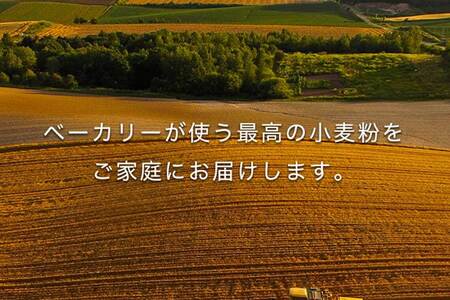 北海道産 「春よ恋」「ゆめちから」ブレンド小麦粉 パウダースノー（パン用強力粉）7.5kg MROBI011