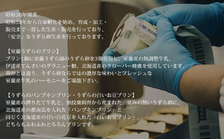 ≪3ヶ月定期便≫うずらのプリン3種（うずらのプリン・パンプキン・白いお豆）×各2個 【 ふるさと納税 人気 おすすめ ランキング 北海道 室蘭 定期便 うずらん たまご 卵 プリン スイーツ 濃厚 洋菓子 和菓子 セット 大容量 詰合せ 北海道 室蘭市 送料無料 】 MROF008