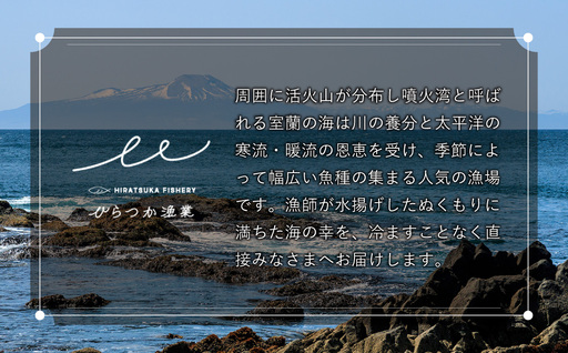 漁師が作った北海道シーフードカレー 6パック MROAL005