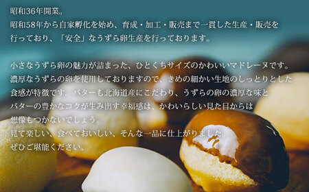 むろらんうずらのたまごけーき 8個入り×2箱 【 ふるさと納税 人気 おすすめ ランキング 北海道 室蘭 うずらん たまご 卵 ケーキ マドレーヌ バター 焼菓子 スイーツ スポンジケーキ カステラ 濃厚 洋菓子 和菓子 セット 大容量 詰合せ 北海道 室蘭市 送料無料 】 MROF002