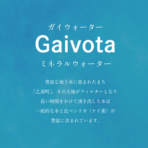 ＜Gaivota　1箱（500ml×24本/箱)＞北のハイグレード食品　北海道乙部町の天然シリカ水