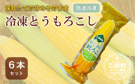 ＜ささや農園産 極★凍結とうもろこし 6本＞北海道 道産 国産 乙部町 とうもろこし とうきび 冷凍 急速冷凍 鮮度そのまま 甘さ 糖度 個包装 ゴールドラッシュ 恵味ゴールド
