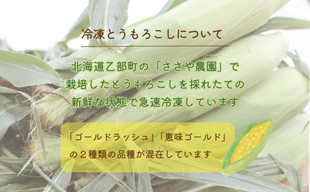 ＜ささや農園産 極★凍結とうもろこし 6本＞北海道 道産 国産 乙部町 とうもろこし とうきび 冷凍 急速冷凍 鮮度そのまま 甘さ 糖度 個包装 ゴールドラッシュ 恵味ゴールド