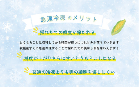 ＜ささや農園産 極★凍結とうもろこし 6本＞北海道 道産 国産 乙部町 とうもろこし とうきび 冷凍 急速冷凍 鮮度そのまま 甘さ 糖度 個包装 ゴールドラッシュ 恵味ゴールド