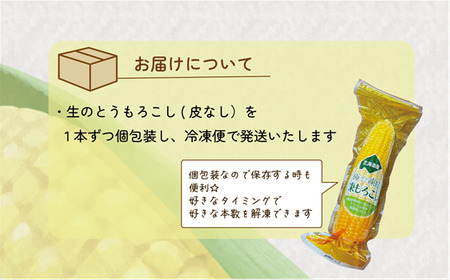 ＜ささや農園産 極★凍結とうもろこし 6本＞北海道 道産 国産 乙部町 とうもろこし とうきび 冷凍 急速冷凍 鮮度そのまま 甘さ 糖度 個包装 ゴールドラッシュ 恵味ゴールド