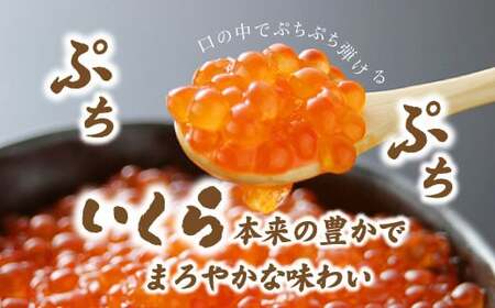 【数量限定 】＜いくら醤油漬　1パック（500ｇ）＞鮮度にこだわる「笹谷商店」の絶品の醤油タレで漬けたいくら（検索：イクラ 鮭いくら 鮭イクラ 醤油いくら 醤油イクラ いくら醤油漬け イクラ醤油漬け 醤油漬 いくら丼 秋鮭 国産 北海道産 北海道乙部町 日本海 冷凍 人気 訳あり 定額減税 使い道 ふるさと納税）