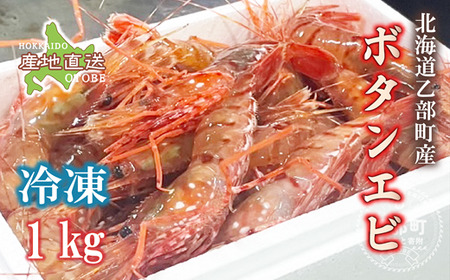 ＜ボタンエビ(冷凍)　1kg＞甘く豊かな風味！ 北海道 道産 国産 乙部町産 牡丹海老 海老 日本海 天然 魚介類 新鮮 希少 お刺身  漁師直送 産地直送 送料無料