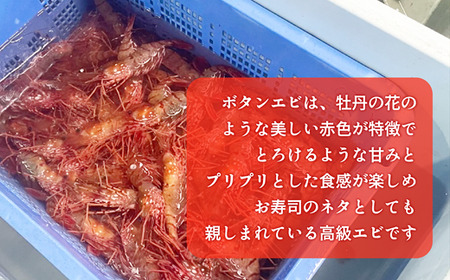 ＜ボタンエビ(冷凍)　1kg＞甘く豊かな風味！ 北海道 道産 国産 乙部町産 牡丹海老 海老 日本海 天然 魚介類 新鮮 希少 お刺身  漁師直送 産地直送 送料無料