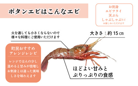 ＜ボタンエビ(冷凍)　1kg＞甘く豊かな風味！ 北海道 道産 国産 乙部町産 牡丹海老 海老 日本海 天然 魚介類 新鮮 希少 お刺身  漁師直送 産地直送 送料無料