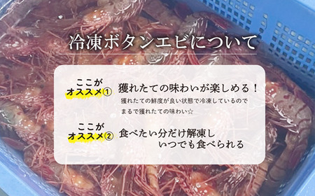 ＜ボタンエビ(冷凍)　1kg＞甘く豊かな風味！ 北海道 道産 国産 乙部町産 牡丹海老 海老 日本海 天然 魚介類 新鮮 希少 お刺身  漁師直送 産地直送 送料無料
